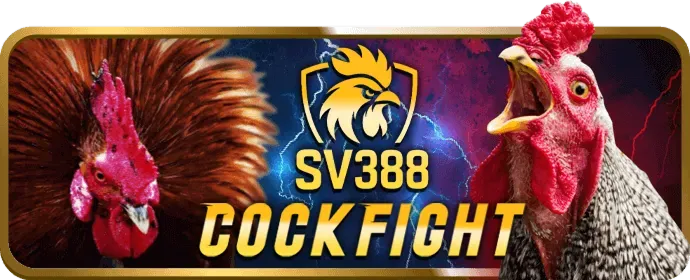 Chấm Dứt Tài Khoản vipae888 win